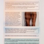 VIII Congreso Semergen Canarias